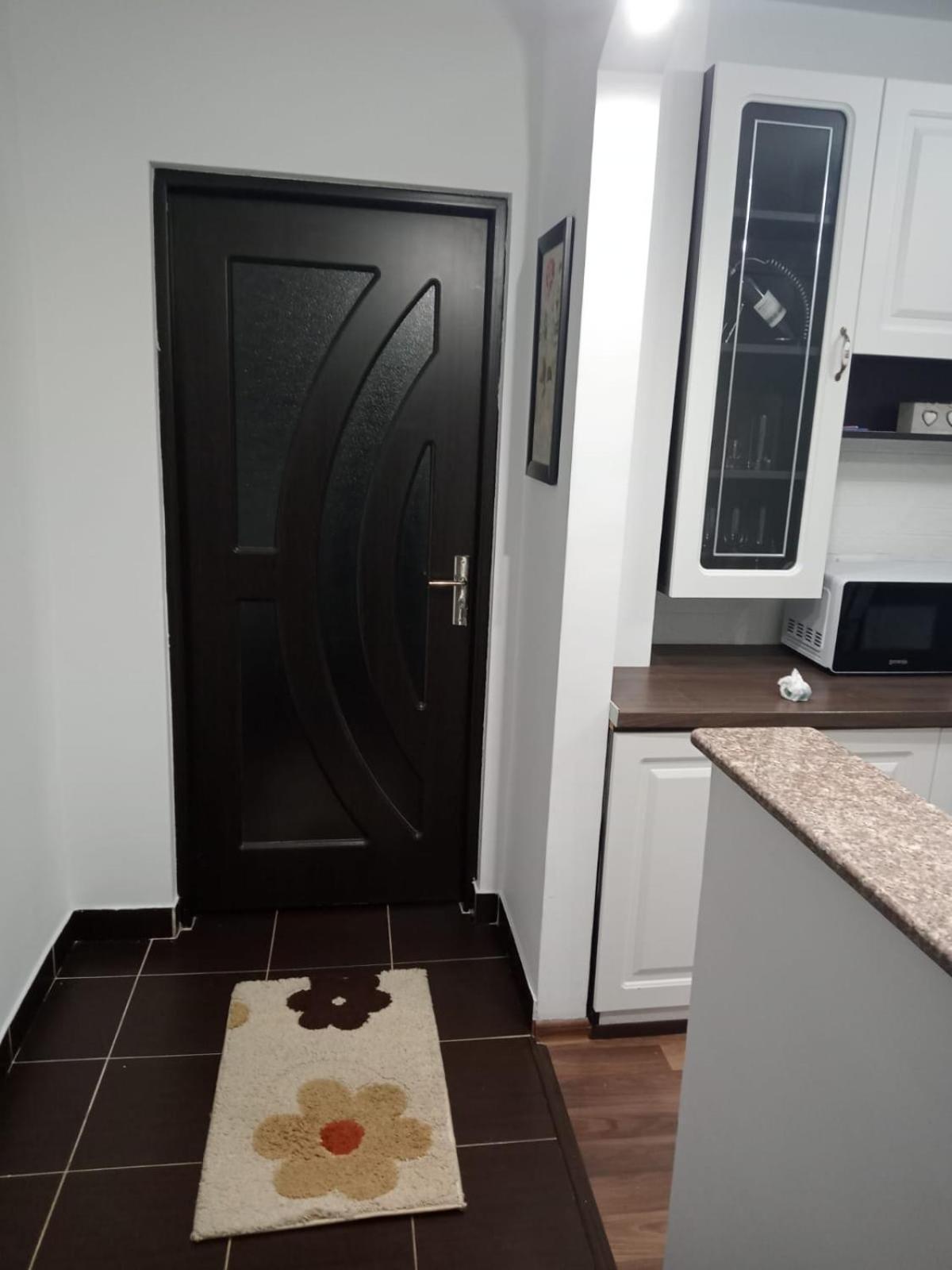 Penti Apartament 苏恰瓦 外观 照片